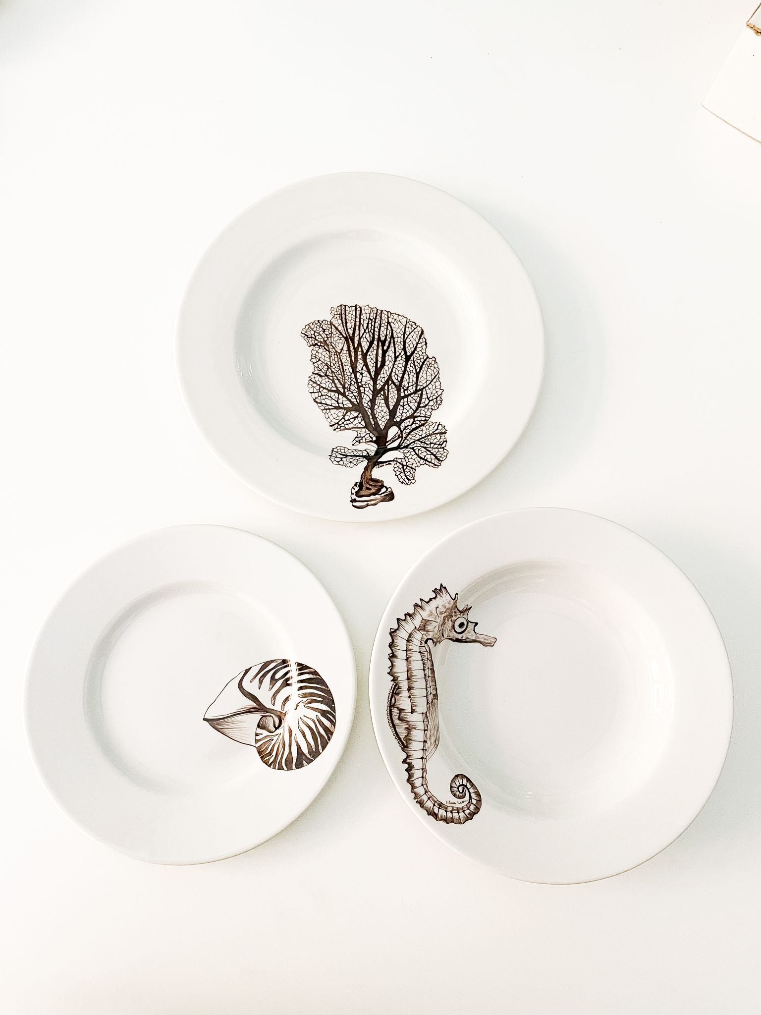 decorative hand panted plate nautilus