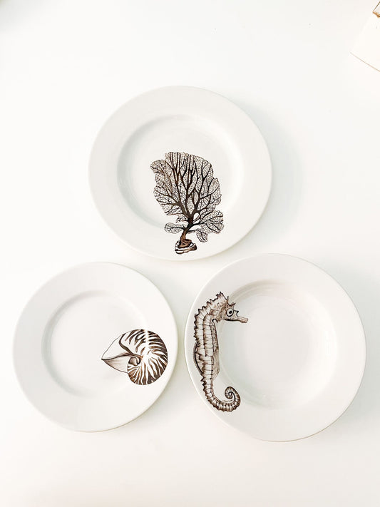 decorative hand panted plate nautilus