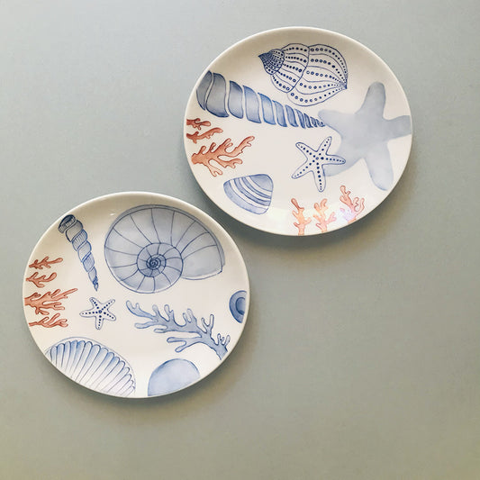 decorative plates shells and corals